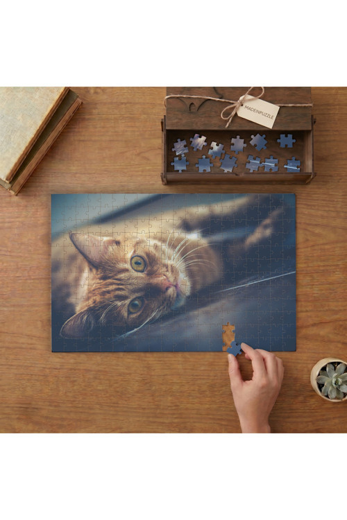 Yatan Sevimli Sarı Kedi Tasarımı 240 parça Ahşap Puzzle Ahşap Kutuda MP03105