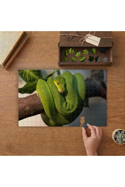 Yeşil Ağaç Pitonu Tasarımı 240 Parça Ahşap Puzzle Ahşap Kutuda MPY40427