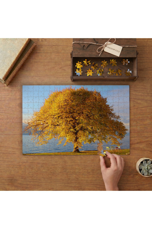 Yaprakları Sararmıl-ş Ağaç Tasarımı 240 parça Ahşap Puzzle Ahşap Kutuda MP03873
