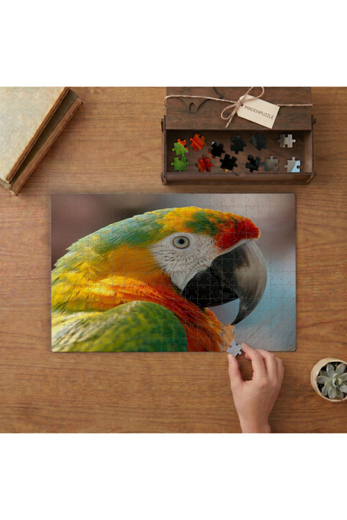 Yakın Çekim Renkli Papağan Tasarımı 240 parça Ahşap Puzzle Ahşap Kutuda MP09909