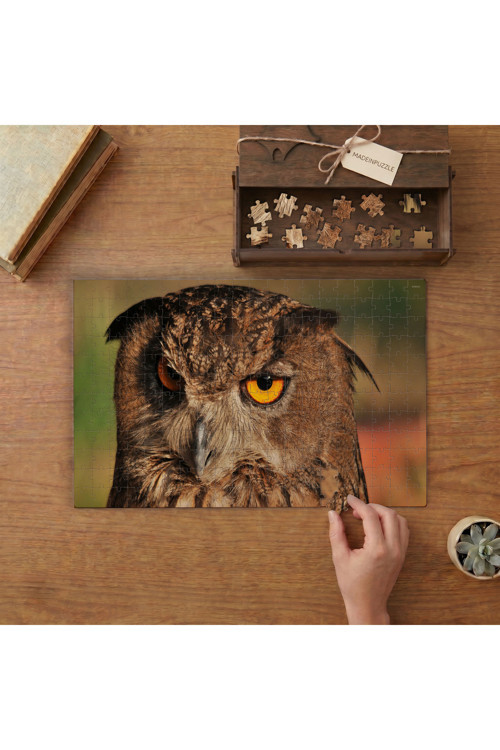 Yakın Çekim Baykuş - Yırtıcı Kuş Tasarımı 240 Parça Ahşap Puzzle Ahşap Kutuda MPY50073