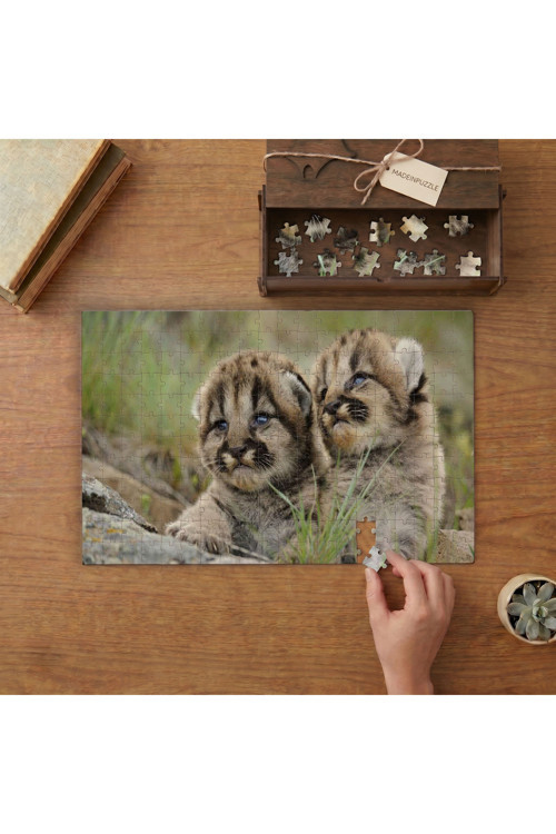 Yavru Dağ Aslanları Tasarımı 240 Parça Ahşap Puzzle Ahşap Kutuda MPY20443