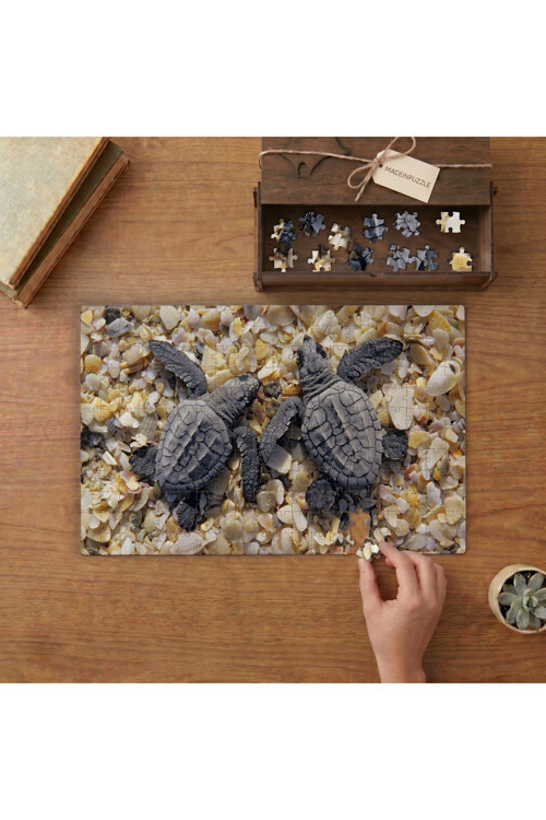 Yavru Deniz Kaplumbağaları Tasarımı 240 Parça Ahşap Puzzle Ahşap Kutuda MPY60134