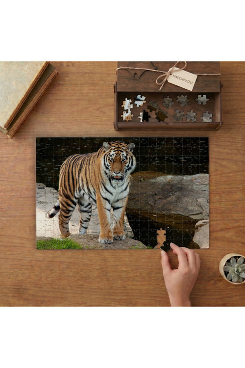 Yürüyen Kaplan Tasarımı 240 Parça Ahşap Puzzle Ahşap Kutuda MPY60415