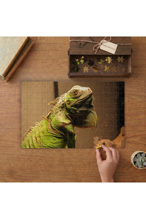 Yeşil İguana Tasarımı 240 Parça Ahşap Puzzle Ahşap Kutuda MPY40481