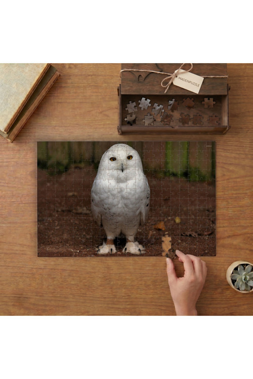 Yavru Kar Baykuşu Tasarımı 240 Parça Ahşap Puzzle Ahşap Kutuda MPY60235