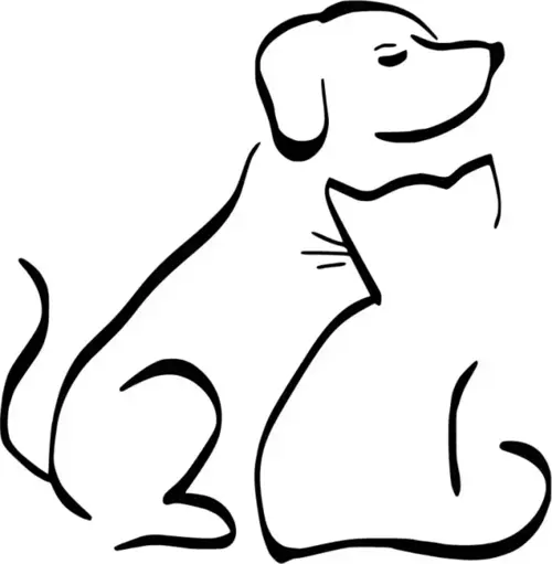 Kedi Köpek Dostluğu Sticker (Oto-Motor-Laptop-Duvar-Dekor) 30 x 30 cm