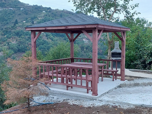 Kamelya Çardak P012