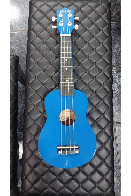 UKULELE (kılıflı)