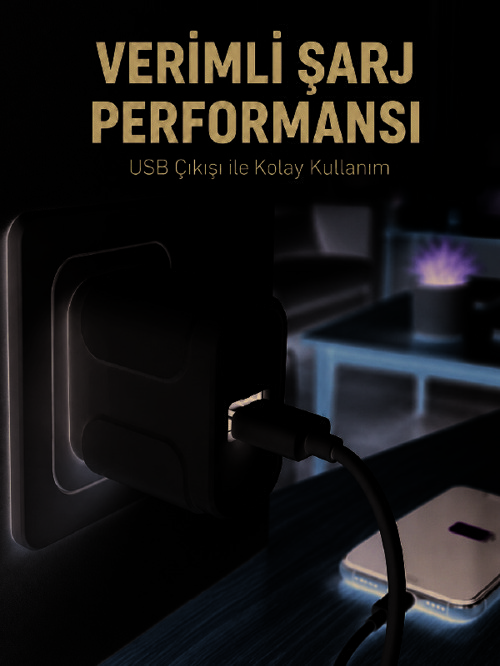 12W USB Şarj Adaptörü Ev ve Ofis Kullanımına Uygun - Lisinya
