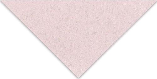 Tiziano Çok Amaçlı Kağıt 160 gr. 50x65 cm 10'lu Paket GÜL - ROSA