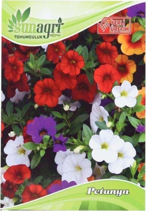 Petunya Çiçek Süs Bitki Tohumu
