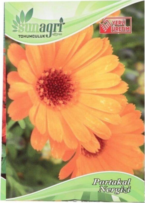 Portakal Nergisi Çiçek Süs Bitki Tohumu