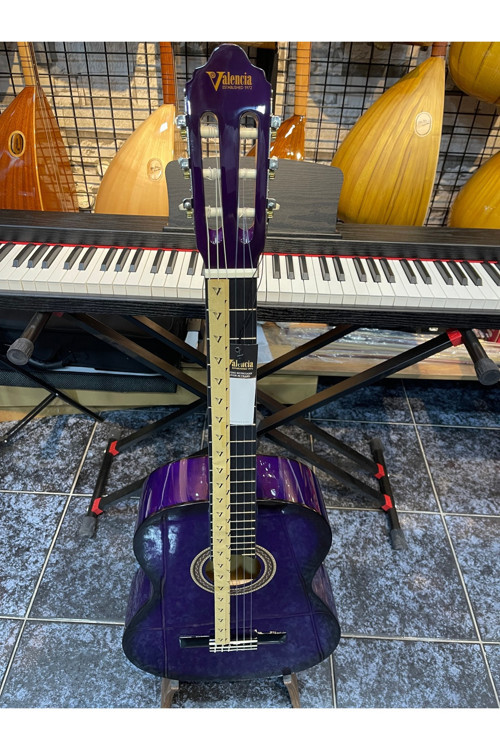 Valencıa Vc104 Tpps Klasik Gitar, 4/4 Mor Sunburst, Sap Çelikli
