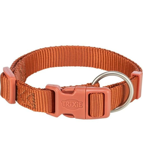 Köpek Premium Boyun Tasması S-M Turuncu