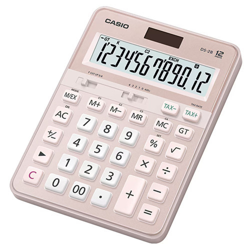 Ds-2b-pk Pembe Profesyonel 12 Hane Masaüstü
