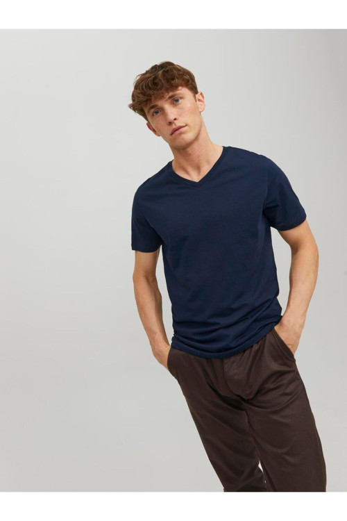 Jjeorganıc Basıc Tee Ss V-Neck