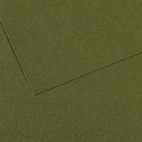 Fon Kartonu (Dokulu) Mı-Teıntes Sh Canmt 50x65 160 GR Grn 448