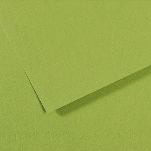 Fon Kartonu (Dokulu) Mı-Teıntes Sh Canmt 50x65 160 GR Grn 475