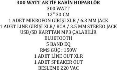 30 CM 300 WATT 12 AKTİF KABİN HOPARLÖR (2818)