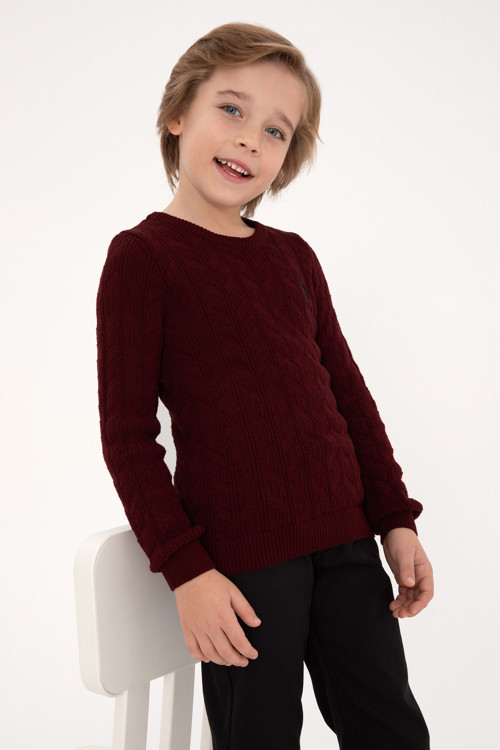 Erkek Çocuk Bordo Bisiklet Yaka Basic Kazak 50315638-VR014