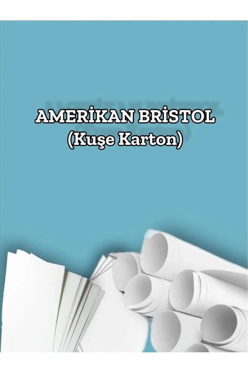 390 Gr. Amerikan Bristol Kağıt Karton 50x70 100 Adet(13,65KG)