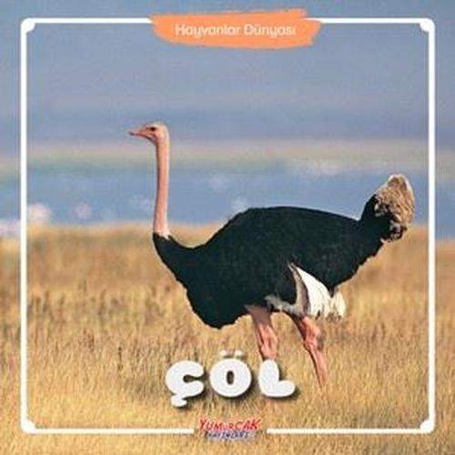 Hayvanlar Dünyası - Çöl