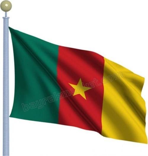 Kamerun Devlet Gönder Bayrağı (70x105 cm)