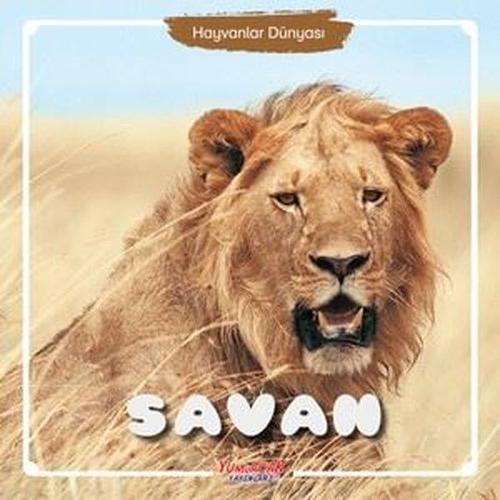 Hayvanlar Dünyası - Savan