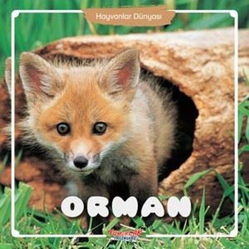 Hayvanlar Dünyası - Orman
