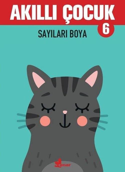 Akıllı Çocuk - Sayıları Boya