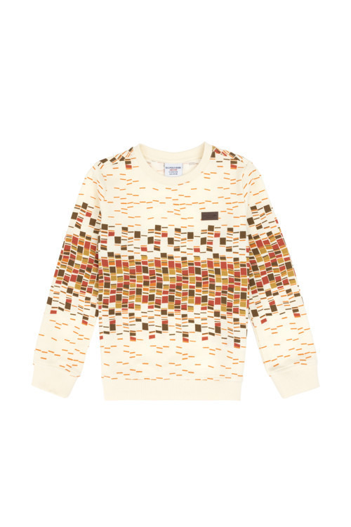 Erkek Çocuk Krem Bisiklet Yaka İnce Sweatshirt 50308534-VR256