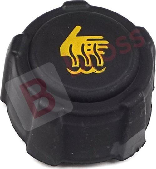 Renault Nissan Citroen Suzuki Opel için Radyatör Genleşme Kabı Kapağı 8200048024