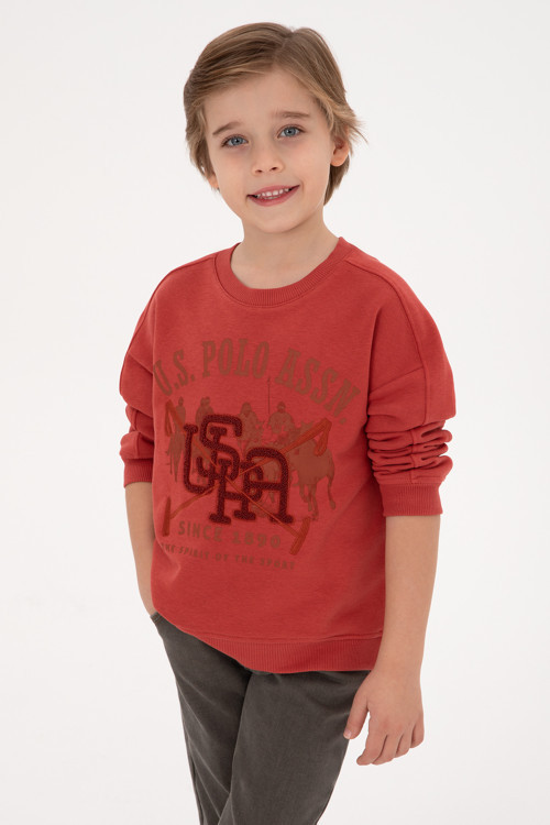 Erkek Çocuk Gül Kurusu Bisiklet Yaka Sweatshirt 50308518-VR026