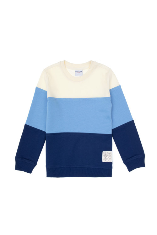 Erkek Çocuk İndigo Basic Bisiklet Yaka Sweatshirt 50313977-VR028