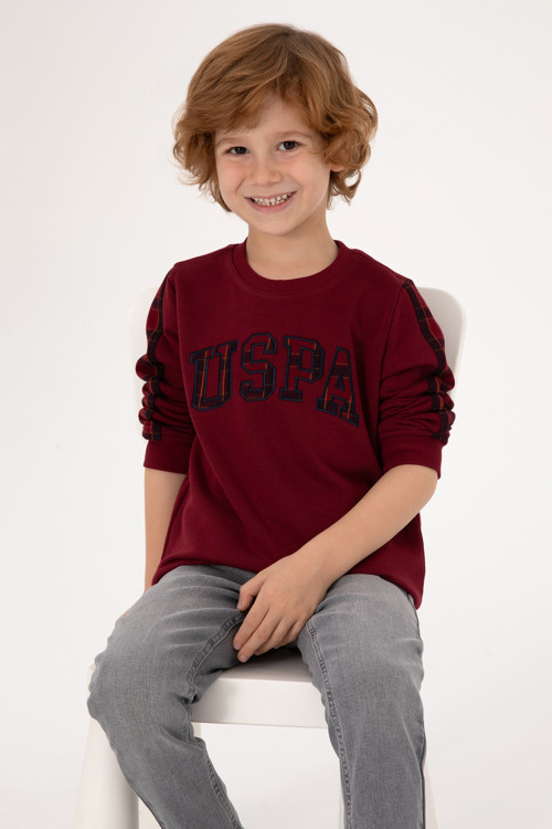 Erkek Çocuk Bordo Bisiklet Yaka Sweatshirt 50316537-VR014