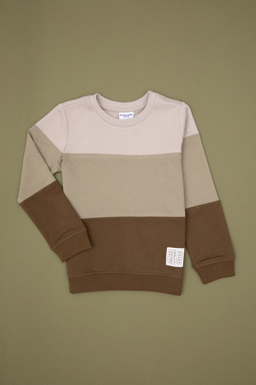 Erkek Çocuk Haki Basic Bisiklet Yaka Sweatshirt 50313977-VR027