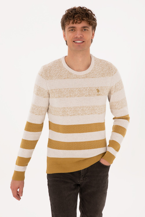 Erkek Regular Fit Bisiklet Yaka Hardal Kazak 50307872-VR151