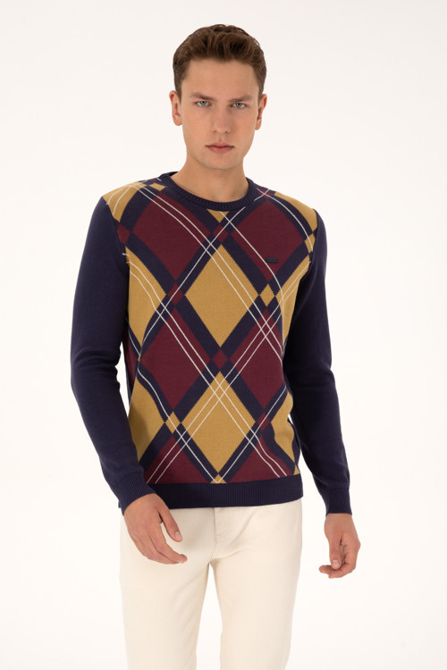 Erkek Regular Fit Bisiklet Yaka Mürdüm Kazak 50308361-VR074