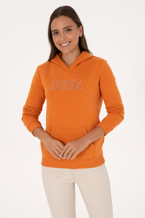 Kadın Bakır Şardonlu Kapüşonlu Basic Sweatshirt 50313566-VR182