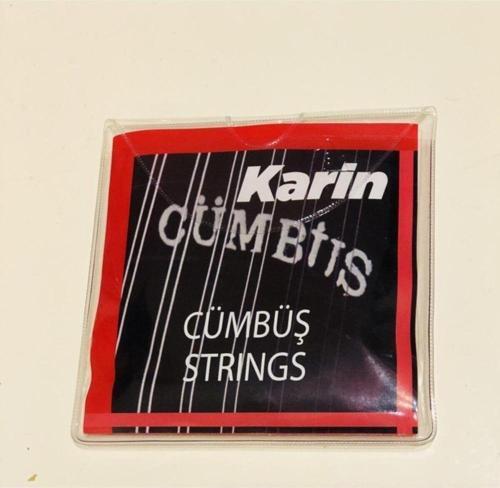 Cümbüş Takım Tel