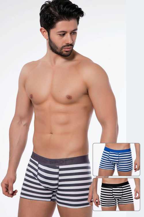 Erkek Asorti 3'Lü Boxer 733 .