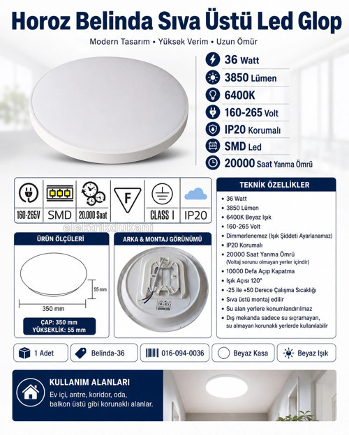 Belinda-36 36w BEYAZ Işık 6400k Yuvarlak Sıva Üstü Led Glop Beyaz Kasa 3850lm 36 Watt 220V IP2