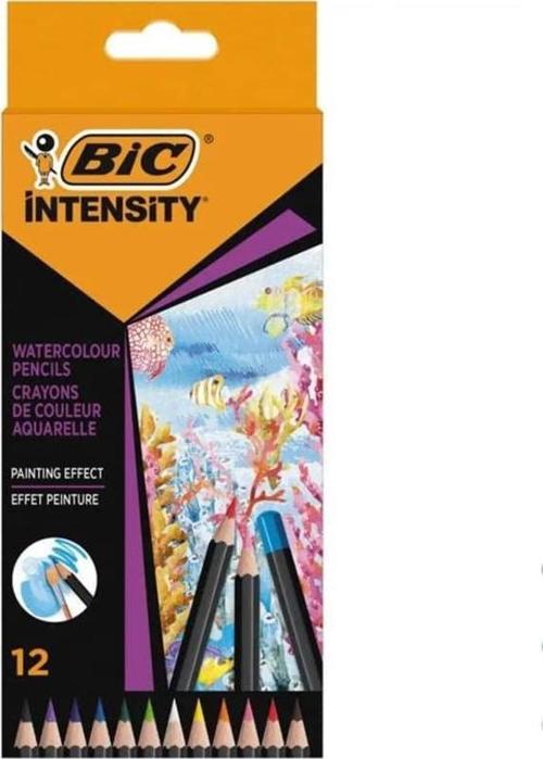 Intensity Aquacouleur Kuru Sulu Boya Kalemi 12 Renk