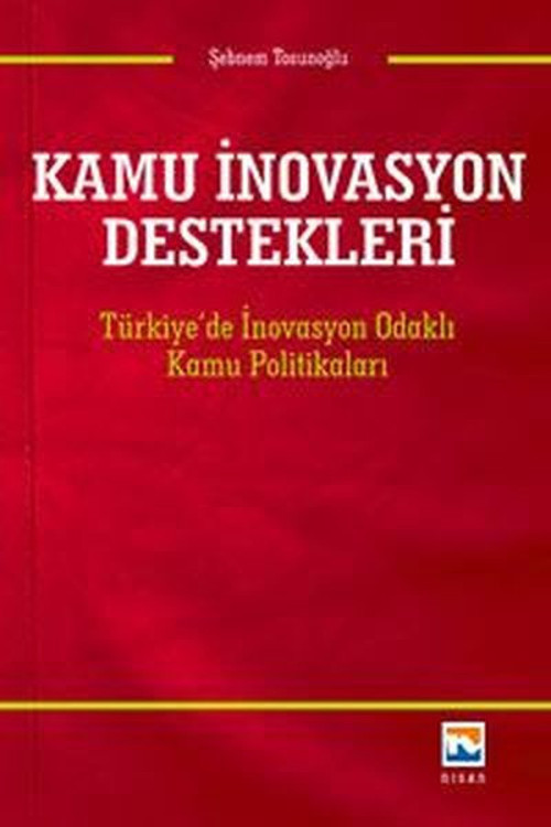 Kamu İnovasyon Destekleri: Türkiye'de İnovasyon Odaklı Kamu Politikaları