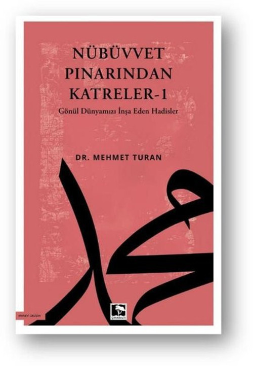 Nübüvvet Pınarından Katreler 1 - Gönül Dünyamızı İnşa Eden Hadisler