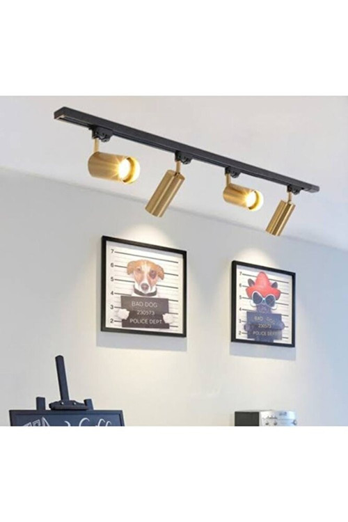 Mylights Modern 1 Mt 4 Lü Ray Spot Hareketli Aydınlatma Gün Işığı Led Ampullüdür