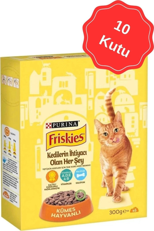 Tavuklu Yetişkin Kuru Kedi Maması 300 gr X 10 Adet