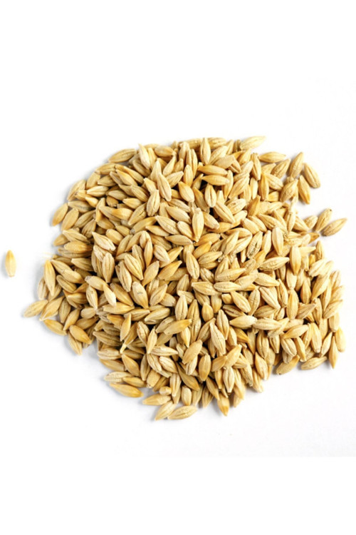 Doğal Tane Arpa Tohumu Yemlik 1 kg