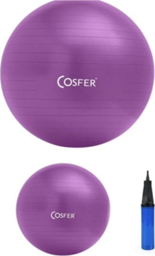 Cosfer 55 Cm Pilates Topu - 20Cm Mini Denge Topu Ve Pompa Seti Mor
